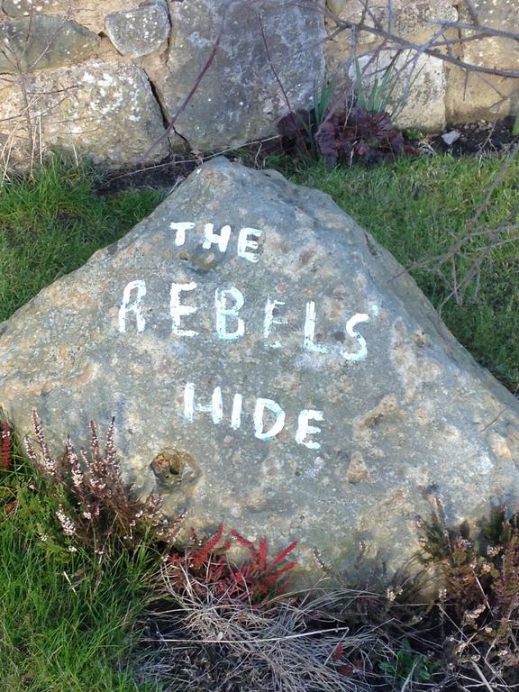 Rebels Hide -Self Check In Rooms Clifton  エクステリア 写真